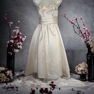 Wedding Dress Strapless Ivory David’s Bridal Brand Galina